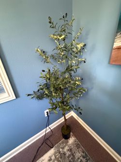 Olive tree home decor