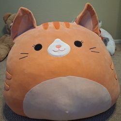 GAINT Cat SquishMallow