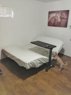 Craft Madic bed & table.