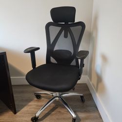 Ergonomic Office Chair