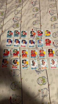 FIFA World Cup panini