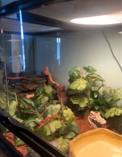 enclosure / tank