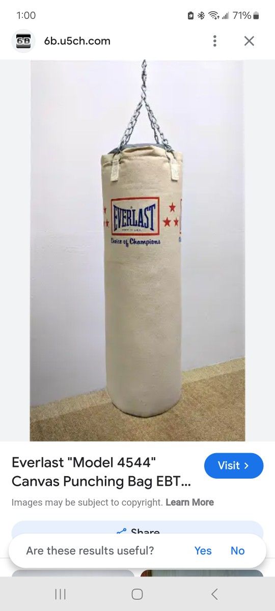 70 Lb Heavy Bag Everlast White Canvas No Holes Never Been Repaired And 40 Lb Everlast Punching Kicking Bag