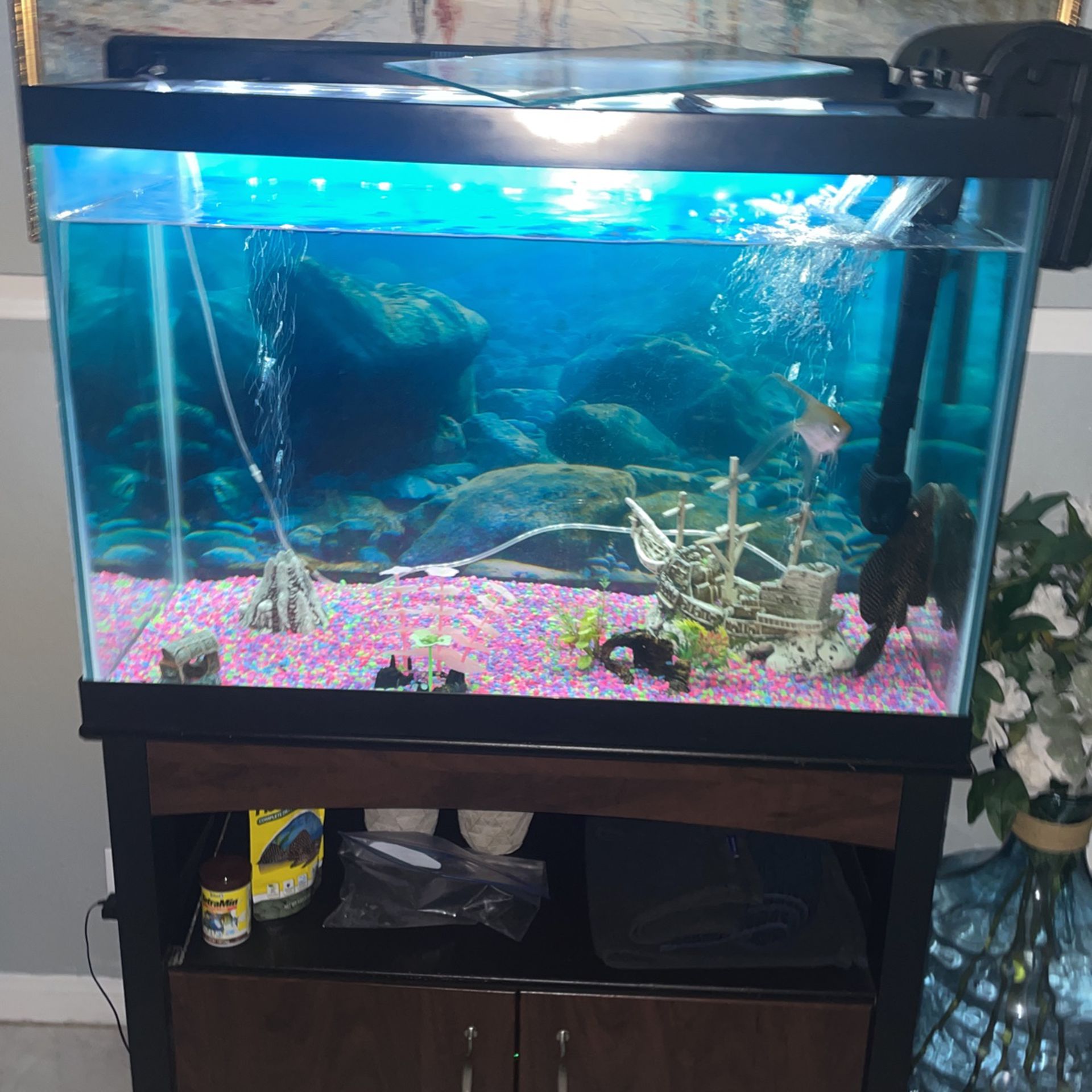 Fish Tank For Sale (FISH NOT INCLUDED) 
