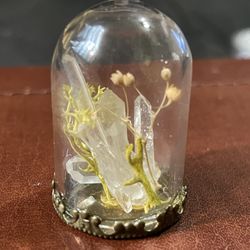 Tiny Terrarium Glass Bell 