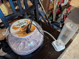 Smart Egg Incubator with Auto Water Feeder