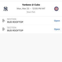 Yankees Vs Cubs Spring Training 