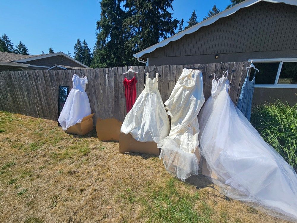 Wedding Dresses