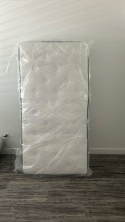 Sealy : twin mattress/ colchon  gemelo