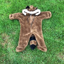 Raccoon Costume