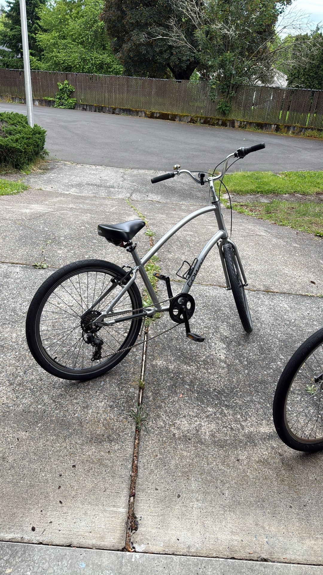 Silver 7 Speed Electra Townie Cruiser Bicycle