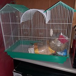 Bird Cage