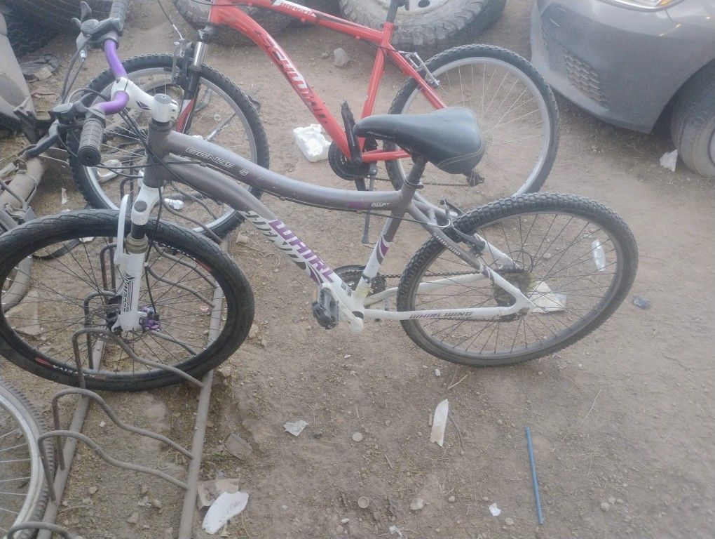 Genesis Bicycle 40.00