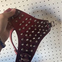 Sharp Pointer Dog Collar 