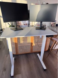 Standing adjustable white desk