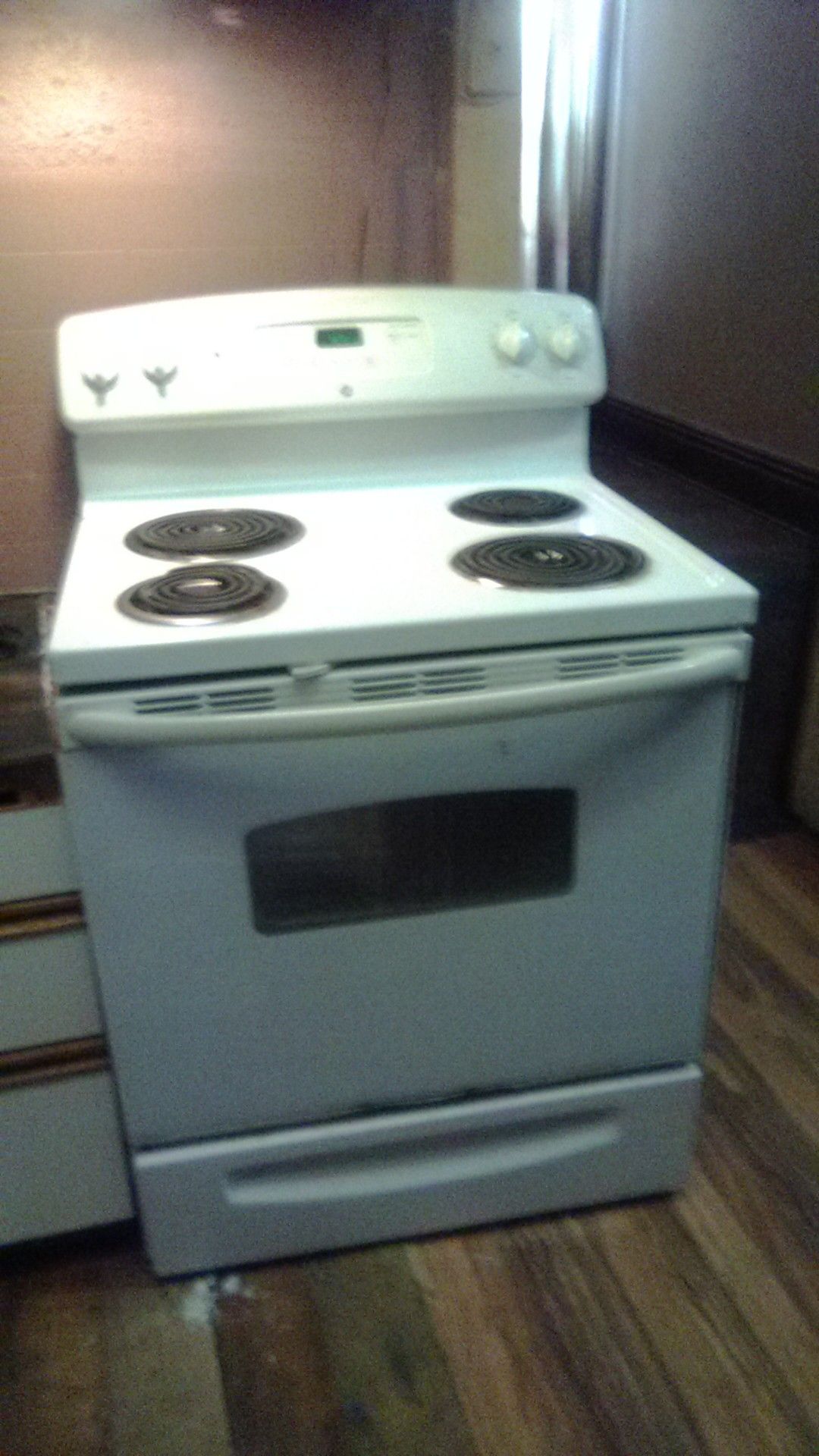 Electric Stove