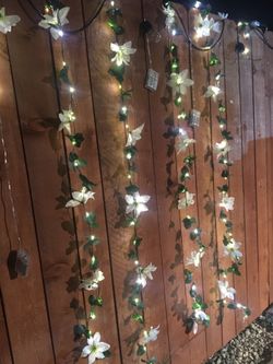 Vine lights decor