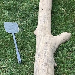 Drift Wood  
