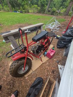 Mini bike