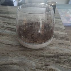 Large Ceramic Bottom Terranium