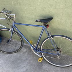 Fixie Bike 