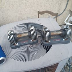 Weider  Speedweights