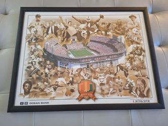 University of Miami Hurricanes Canes Photo Frame 26X20