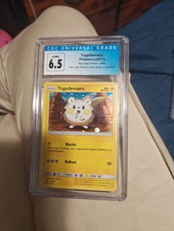 Togedemaru 6.5 slab