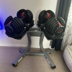 bowflex selecttech 552 adjustable dumbbells and stand
