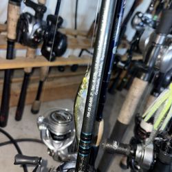 Dobyns 704 CB Glass Rod