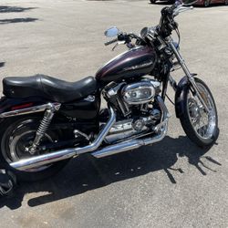 2005 Harley Davidson Sportster