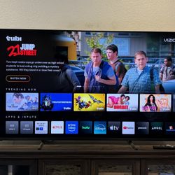 65” Vizio TV