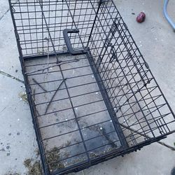 Carrier For Pet