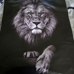 Lion 🦁 POSTER 