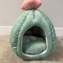 Cactus Pet Bed (Small/medium)
