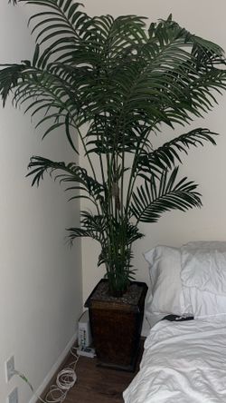 Palm trees artificial