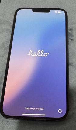 Apple iPhone 13 Pro Max