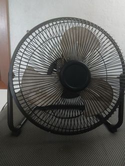 Fan