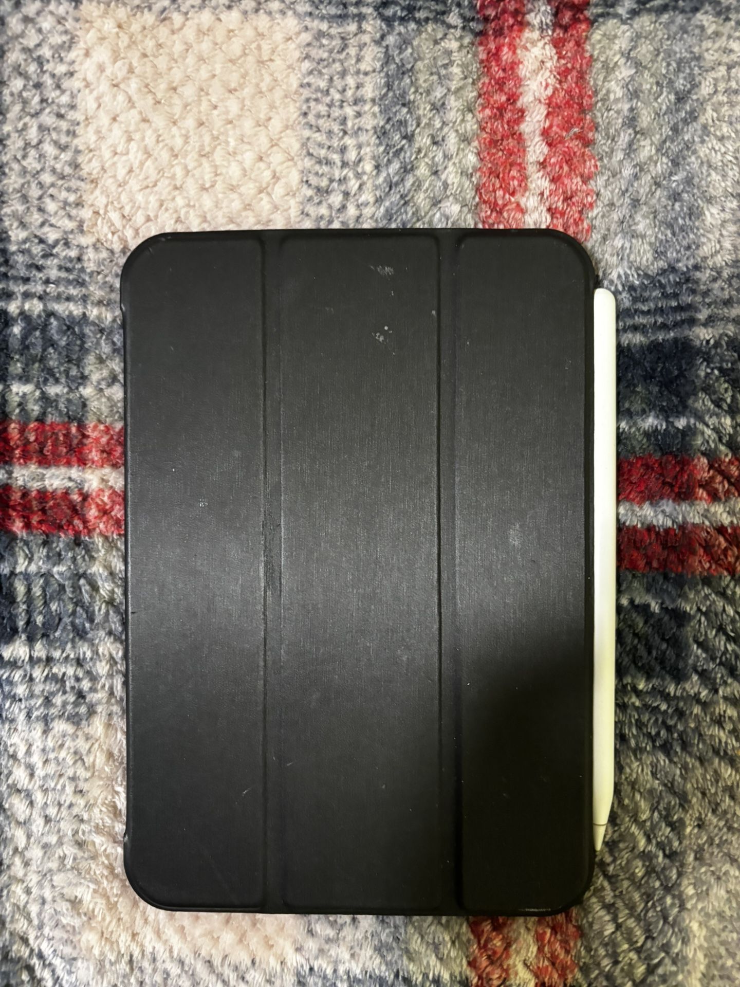 iPad Mini W/ Apple Pencil