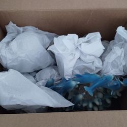 Box Of Dolphin Globes
