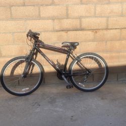 Raleigh Mountain Bike 