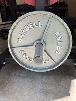 45lbs plate pair