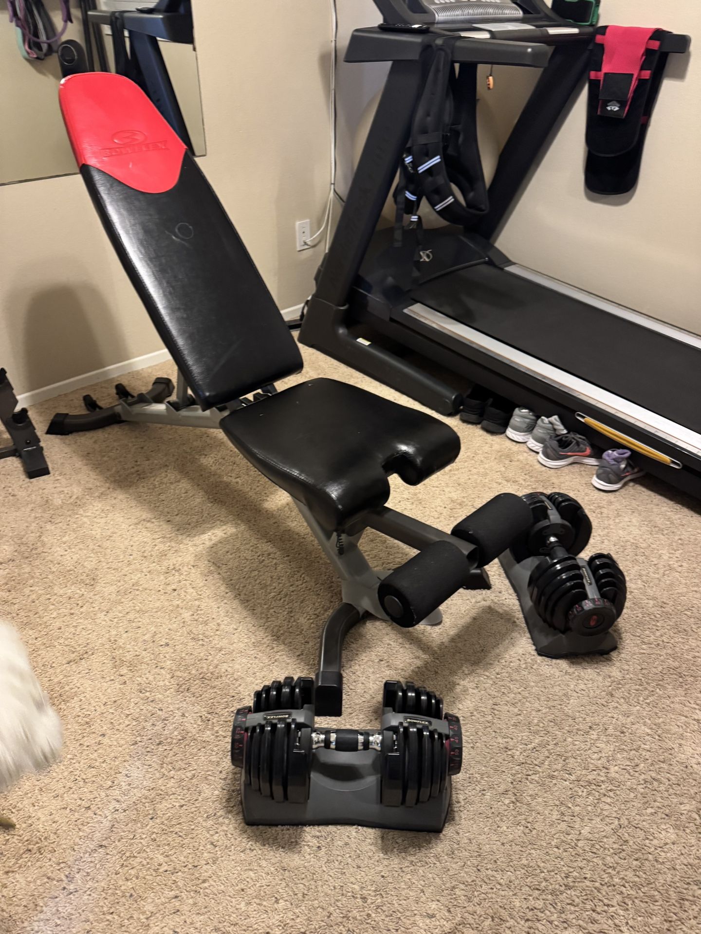 BOWFLEX Select Tech Dumbbells With Adjustable Bench
