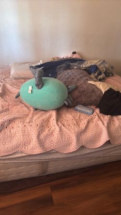 Bed
