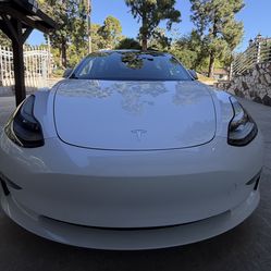 2019 Tesla Model 3 Sedan