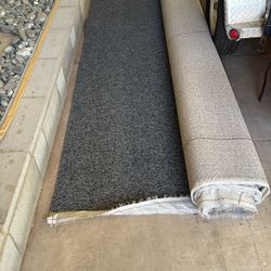 Carpet 