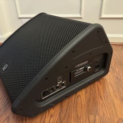Turbosound TFX122-MAN stage monitor Wedge