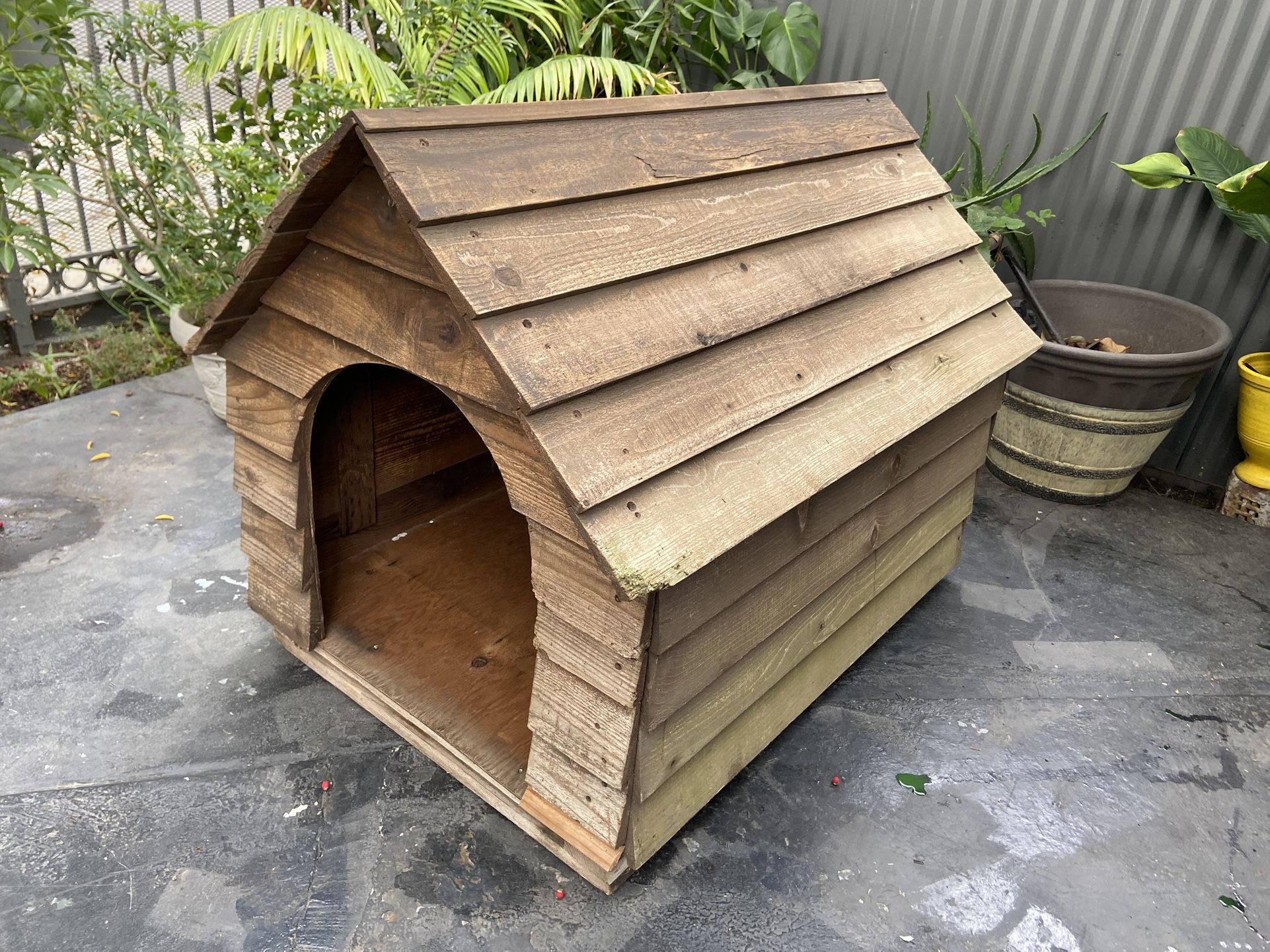 Dog House