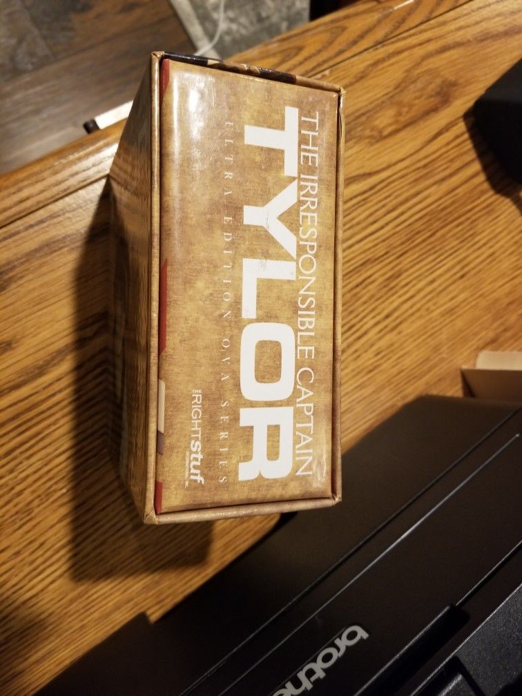 Tylor The Irresponsible Captain