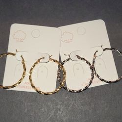 Stainless Steel Hoops 